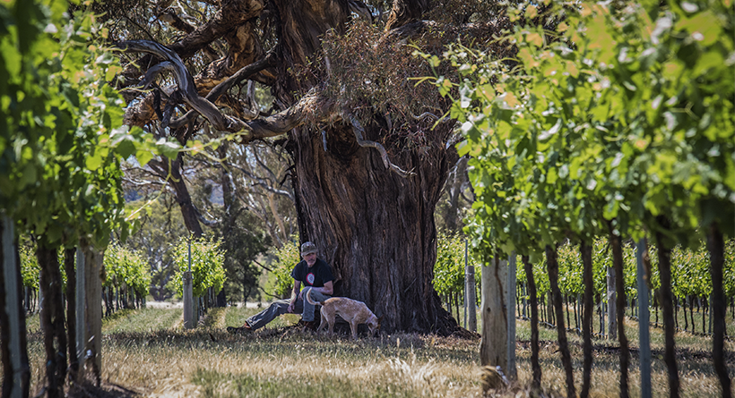 Adam & Daisy Under Tree